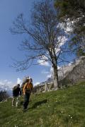 Foto Nordic Walking, Hiking, Schweiz, St. Gallen, Walensee